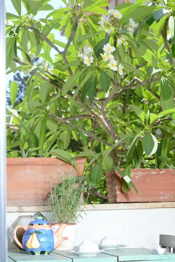 Penelope B&B Palermo Exterior foto